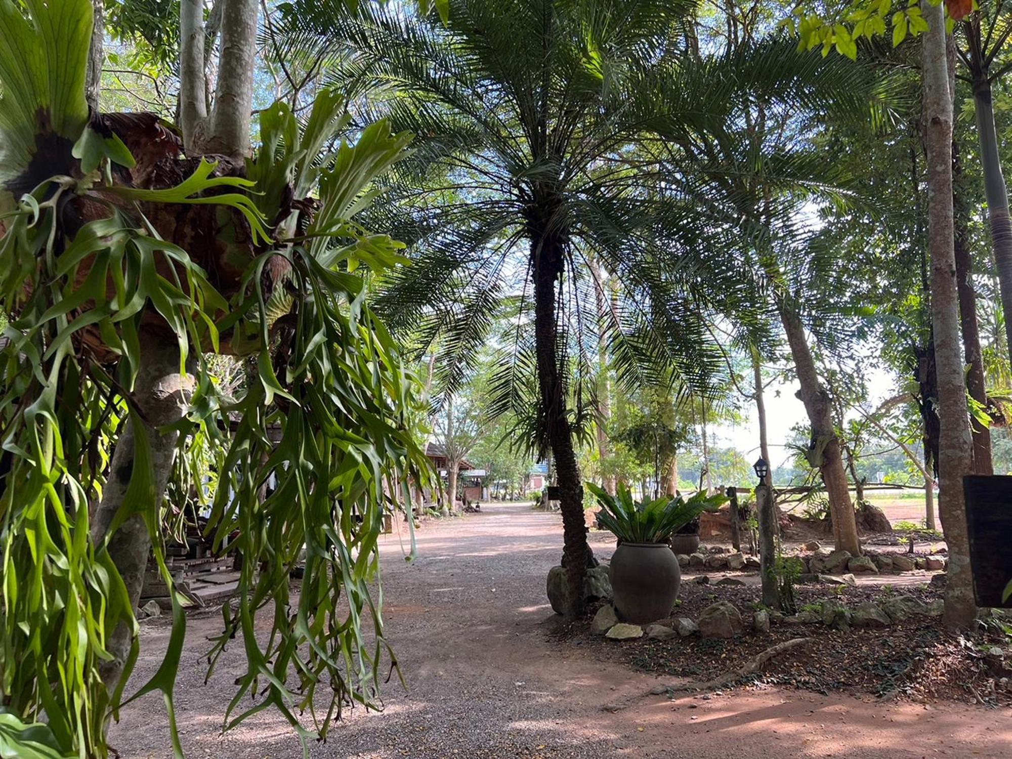 Pang Mai Resort Сонгкла Екстериор снимка
