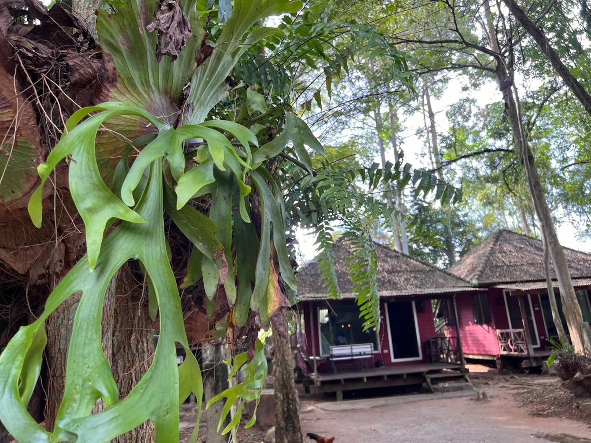 Pang Mai Resort Сонгкла Екстериор снимка