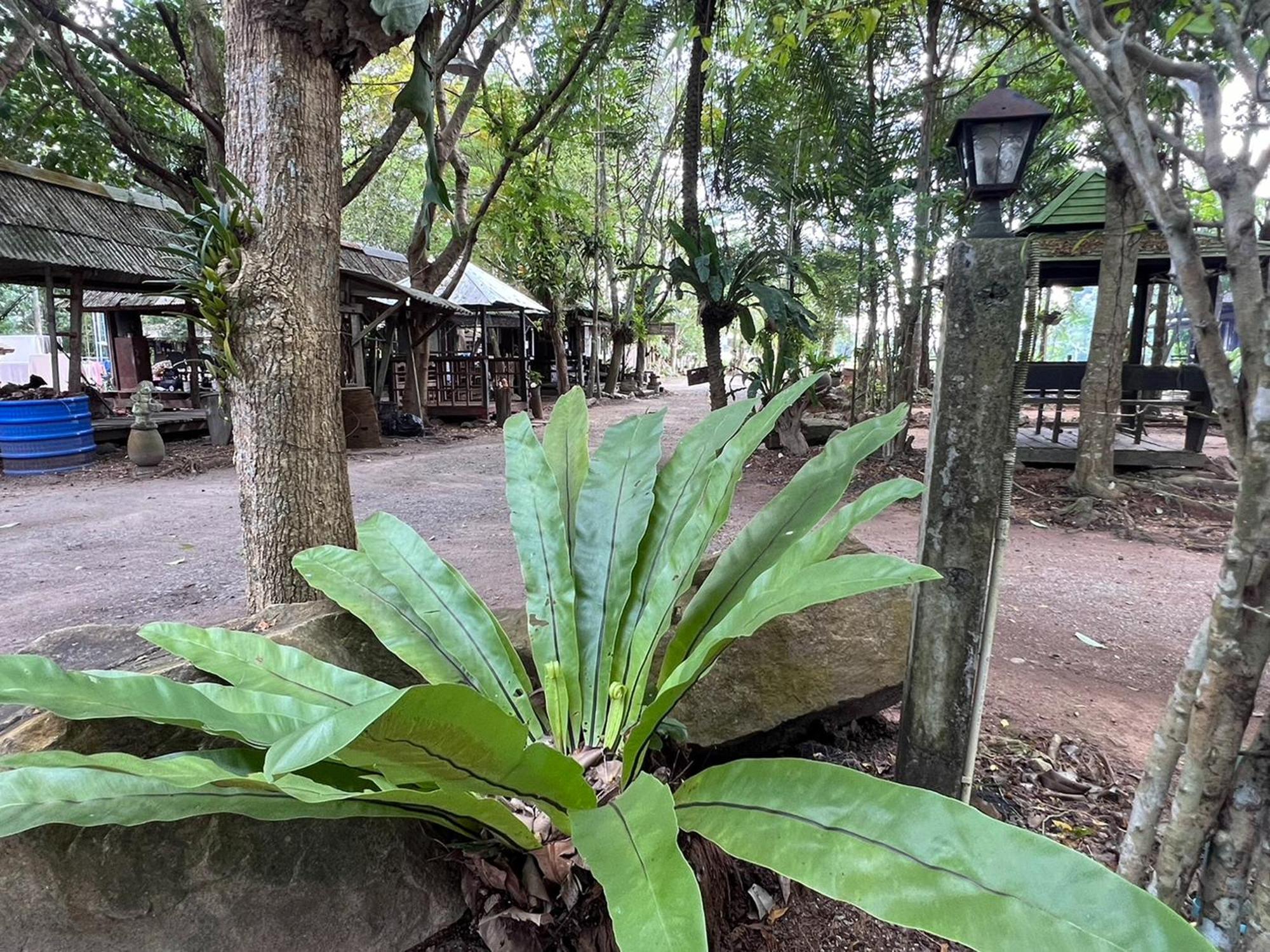 Pang Mai Resort Сонгкла Екстериор снимка